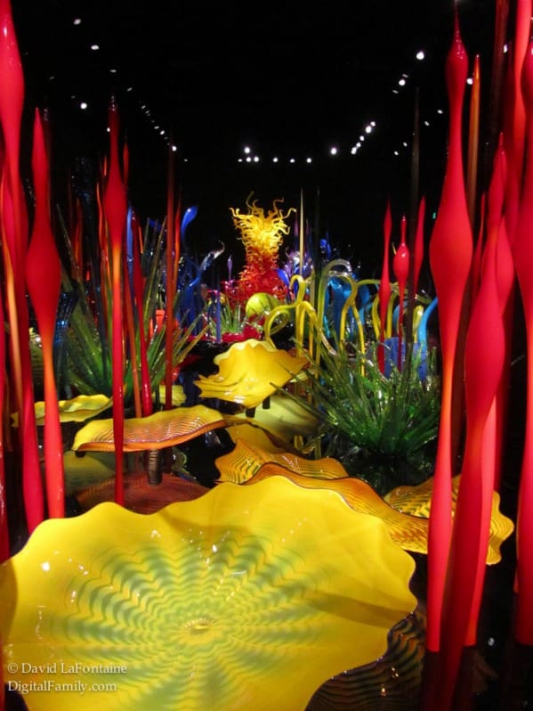 underwater glass-scape