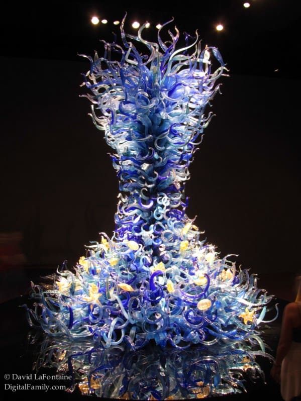 glass anemone